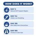 DHTLAB™ Science-Backed Multi-Peptide DHT Blocker & Hair Growth Serum - Image 4